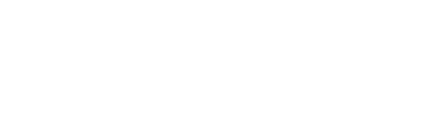 WDM Inteligência Artificial